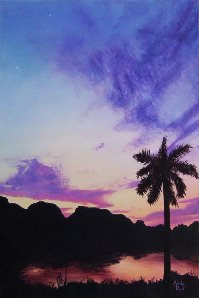 Peinture à l'acrylique intitulée "Nuit d'Indochine" par Arielle Payet montrant un coucher de soleil sur un lac